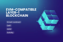 Building an EVM-compatible Layer-1 chain